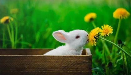 Kaiyun网页版-C罗:不知道我儿子能否成为球星 我不会给他压力